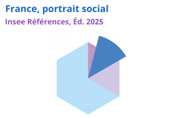 France, portrait social